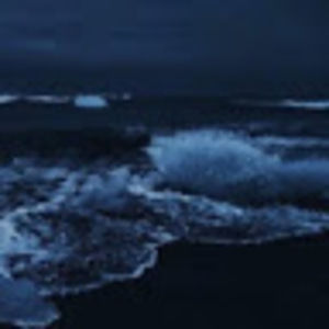 Meet your Posher, Cailey